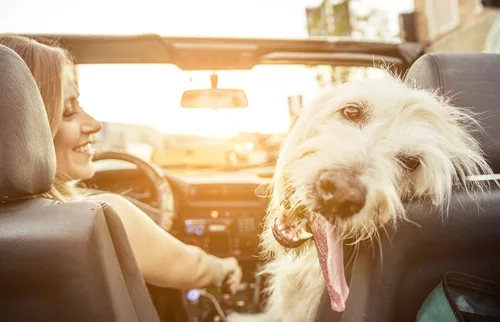 Are You Ready for Summer Driving in 2019? 12 Ken's Automotive and Transmission tires