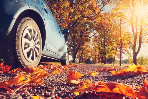 frederick md vehicle maintenance for fall jpg