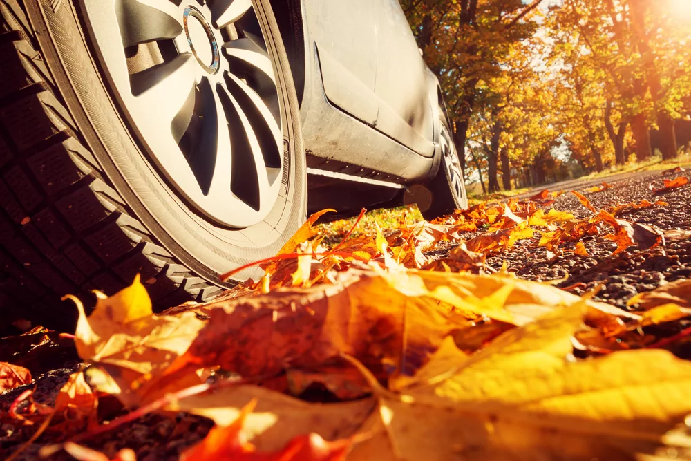 Ken's automotive and transmissions fall vehicle maintenance